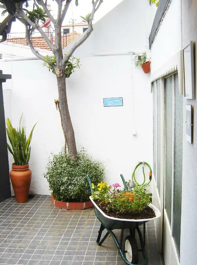 The House Villa Funchal  Portugal